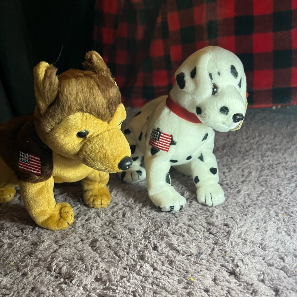 COPY - NWT 90s/00s Vintage TY Beanie Babies Smoke Free Home Make an Offer